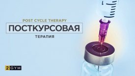 Post-Cycle Therapy Protocols: Two Real-Life Examples and Strategies for Testosterone Recovery