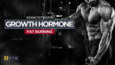 How to use growth hormone for fat burning — bodybuilding and fitness