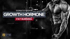 How to use growth hormone for fat burning