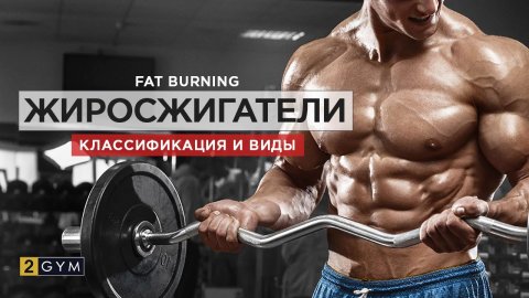 Fat Burner Types Explained: Stimulants, Metabolism Boosters, and More for Effective Weight Loss