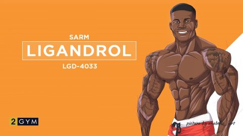 Ligandrol (LGD-4033): One Of The Most Effective SARM for Muscle Growth and Strength Gains?