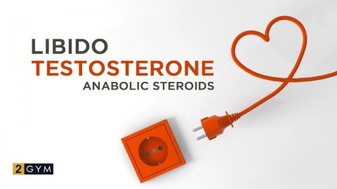 Libido, Testosterone, and Anabolic Steroids