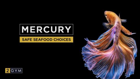 Big Fish, Big Risk? Choosing Fish with Lower Mercury Levels